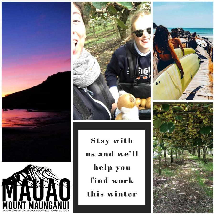 Albergue Mount Backpackers Mount Maunganui Exterior foto